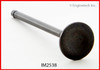 Intake Valve - 1985 Honda Accord 1.8L (IM2538.A5)