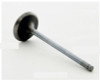 Intake Valve - 2000 Acura Integra 1.8L (IM2654.B18)
