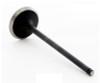 Intake Valve - 1992 Acura Vigor 2.5L (IM2660.A7)