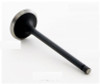 Intake Valve - 1998 Chevrolet Metro 1.3L (IM2696.B18)