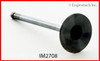 Intake Valve - 1999 Infiniti G20 2.0L (IM2708.B19)
