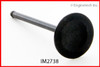 Intake Valve - 1995 Lexus ES300 3.0L (IM2738.A3)