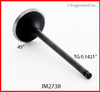 Intake Valve - 2003 Toyota Camry 3.0L (IM2738.E43)