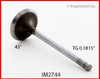 Intake Valve - 1997 Toyota 4Runner 3.4L (IM2744.A6)