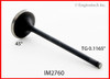 Intake Valve - 1996 Honda Accord 2.2L (IM2760.A7)