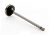 Intake Valve - 1990 Nissan Sentra 1.6L (IM2780.A4)