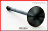 Intake Valve - 1998 Mazda 626 2.5L (IM2834.B14)