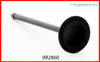 Intake Valve - 1997 Mitsubishi Montero Sport 3.0L (IM2860.D35)