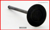 Intake Valve - 1996 Toyota Tacoma 2.4L (IM3500.A7)