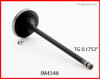 Intake Valve - 1996 Honda Accord 2.2L (IM4348.A6)