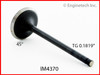 Intake Valve - 2000 Nissan Sentra 2.0L (IM4370.A2)