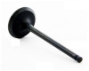 Intake Valve - 1998 Chevrolet Prizm 1.8L (IM4372.A1)