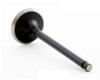 Intake Valve - 2002 Acura MDX 3.5L (IM4404.A8)