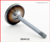 Intake Valve - 1994 Volkswagen Golf 2.0L (IM4416.A10)