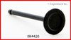 Intake Valve - 2006 Kia Rio5 1.6L (IM4420.A9)