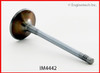 Intake Valve - 2010 Volkswagen Eos 2.0L (IM4442.G64)