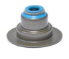 Valve Stem Oil Seal - 2001 Mazda B4000 4.0L (S292V.B12)