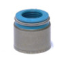 Valve Stem Oil Seal - 1989 Chevrolet C1500 5.7L (S500V.I84)