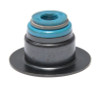 Valve Stem Oil Seal - 2010 Ford Mustang L (S542V-20.D37)