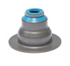 Valve Stem Oil Seal - 1998 Chevrolet Cavalier 2.2L (SG22V-20.A1)