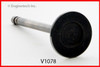 Intake Valve - 1987 Chevrolet P30 4.8L (V1078.L3594)