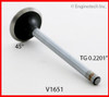 Exhaust Valve - 1988 Chevrolet R20 Suburban 7.4L (V1651B.K636)