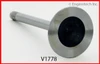 Intake Valve - 1989 Dodge Diplomat 5.2L (V1778.K502)