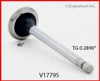 Exhaust Valve - 1985 GMC P3500 5.7L (V1779S.L1028)