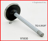 Intake Valve - 1989 Ford Country Squire 5.0L (V1830.K393)