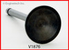 Intake Valve - 1985 Buick Century 3.8L (V1876.K208)