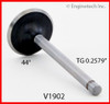 Intake Valve - 1989 Chevrolet Caprice 5.0L (V1902.J91)