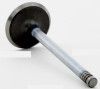 Intake Valve - 1986 Ford LTD 3.8L (V1904.C27)