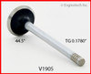 Exhaust Valve - 1986 Mercury Cougar 3.8L (V1905.D31)