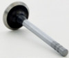 Exhaust Valve - 1985 Buick Somerset Regal 2.5L (V1911.G70)