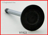 Intake Valve - 1991 Buick Commercial Chassis 5.0L (V1922B.K333)