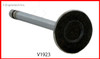 Exhaust Valve - 1985 Buick Regal 5.0L (V1923.L4865)