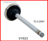 Exhaust Valve - 1991 Buick Commercial Chassis 5.0L (V1923.L5302)