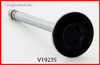 Exhaust Valve - 1991 Buick Commercial Chassis 5.0L (V1923S.L4866)