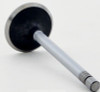 Intake Valve - 1985 Ford LTD 2.3L (V1968.H75)