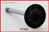 Intake Valve - 1991 Ford Taurus 2.5L (V1968.K144)