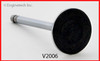 Intake Valve - 1986 GMC C1500 Suburban 6.2L (V2006.K136)