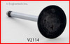 Intake Valve - 1998 Mercury Sable 3.0L (V2114.F51)