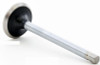 Exhaust Valve - 1993 Ford E-350 Econoline 4.9L (V2123.J94)