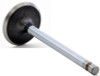 Intake Valve - 1992 Ford F-150 4.9L (V2124.I86)