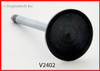 Intake Valve - 1990 Plymouth Grand Voyager 3.3L (V2402.A7)