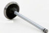 Intake Valve - 1993 Chevrolet Cavalier 2.2L (V2684.A6)