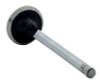 Exhaust Valve - 1994 Buick Roadmaster 5.7L (V2689S.A2)