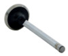 Exhaust Valve - 1996 Chevrolet Corvette 5.7L (V2689S.E46)