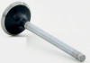 Exhaust Valve - 1999 Cadillac DeVille 4.6L (V2769.E42)