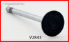 Exhaust Valve - 1998 Ford Mustang 4.6L (V2843.B11)